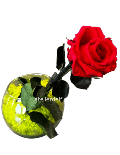 Rosa stabilizzata con vaso in vetro