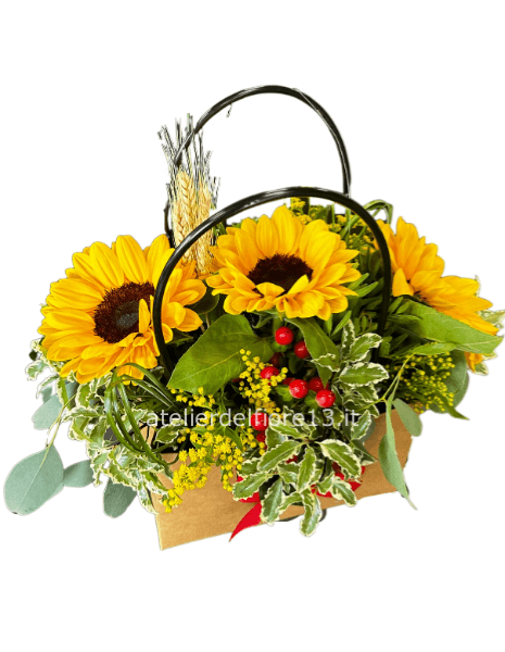 box con 1 girasole