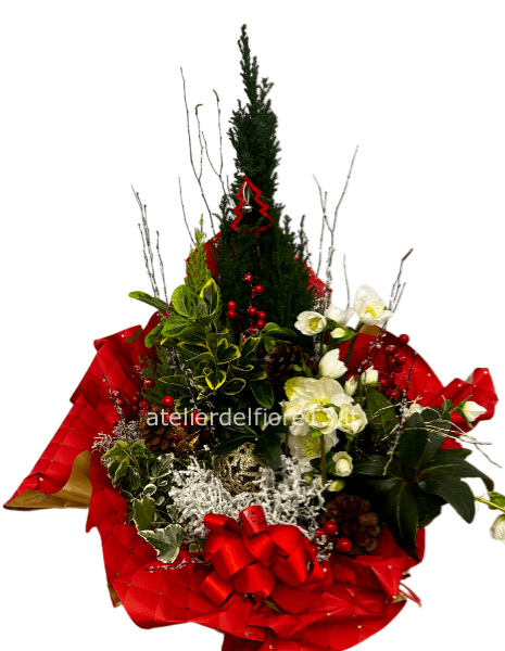 Giardinetto natalizio